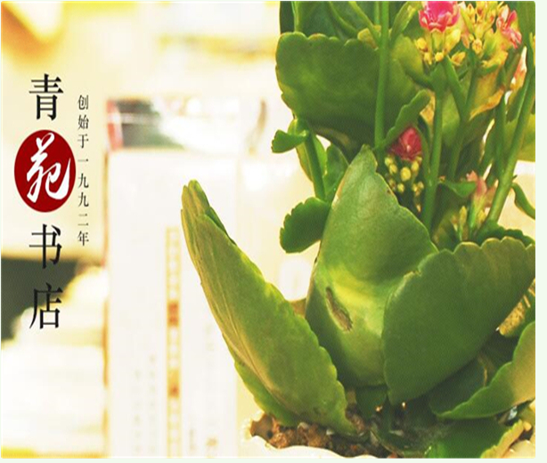 青苑书店加盟流程 青苑书店加盟流程