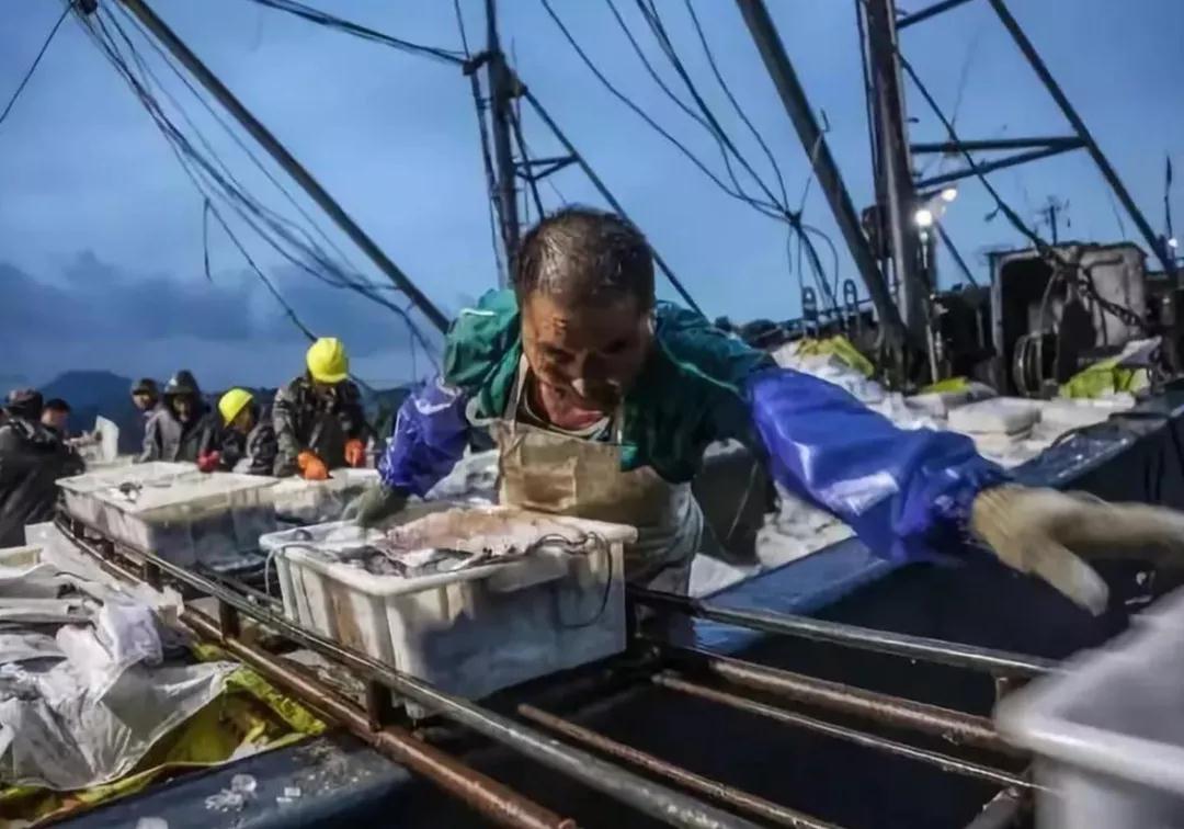 七步优鲜加盟流程 七步优鲜加盟流程