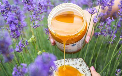 探蜜源蜂蜜加盟 探蜜源蜂蜜加盟