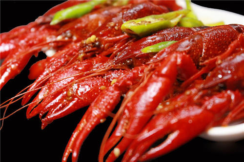 金姜记小龙虾加盟优势 金姜记小龙虾加盟优势