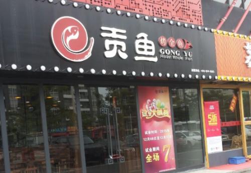 贡鱼加盟支持 贡鱼加盟支持