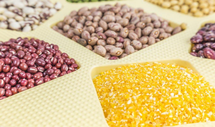 益宝糊养生现磨坊加盟条件 益宝糊养生现磨坊加盟条件