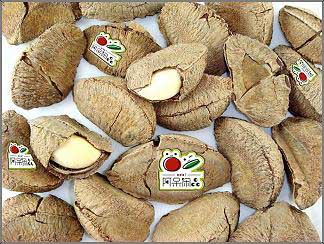 阿呆闲品加盟支持 阿呆闲品加盟支持