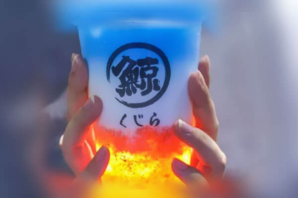 琉璃鲸加盟支持 琉璃鲸加盟支持