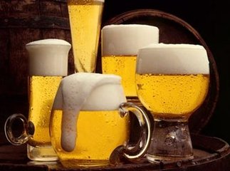 珠江纯生啤酒加盟