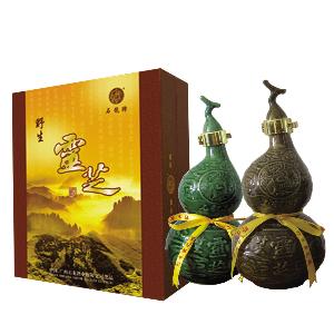 千年灵芝酒加盟条件 千年灵芝酒加盟条件