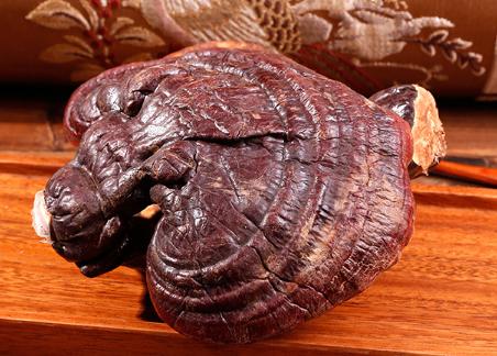 千年灵芝酒加盟流程 千年灵芝酒加盟流程