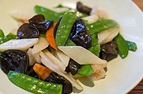 金光鸽王加盟支持 金光鸽王加盟支持