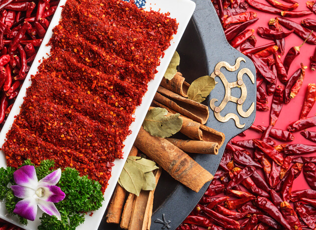 大龙燚火锅加盟条件 大龙燚火锅加盟条件