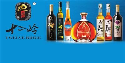 广东十二岭酒业加盟优势 广东十二岭酒业加盟优势