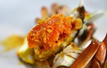 升鲜记阳澄湖大闸蟹加盟条件 升鲜记阳澄湖大闸蟹加盟条件