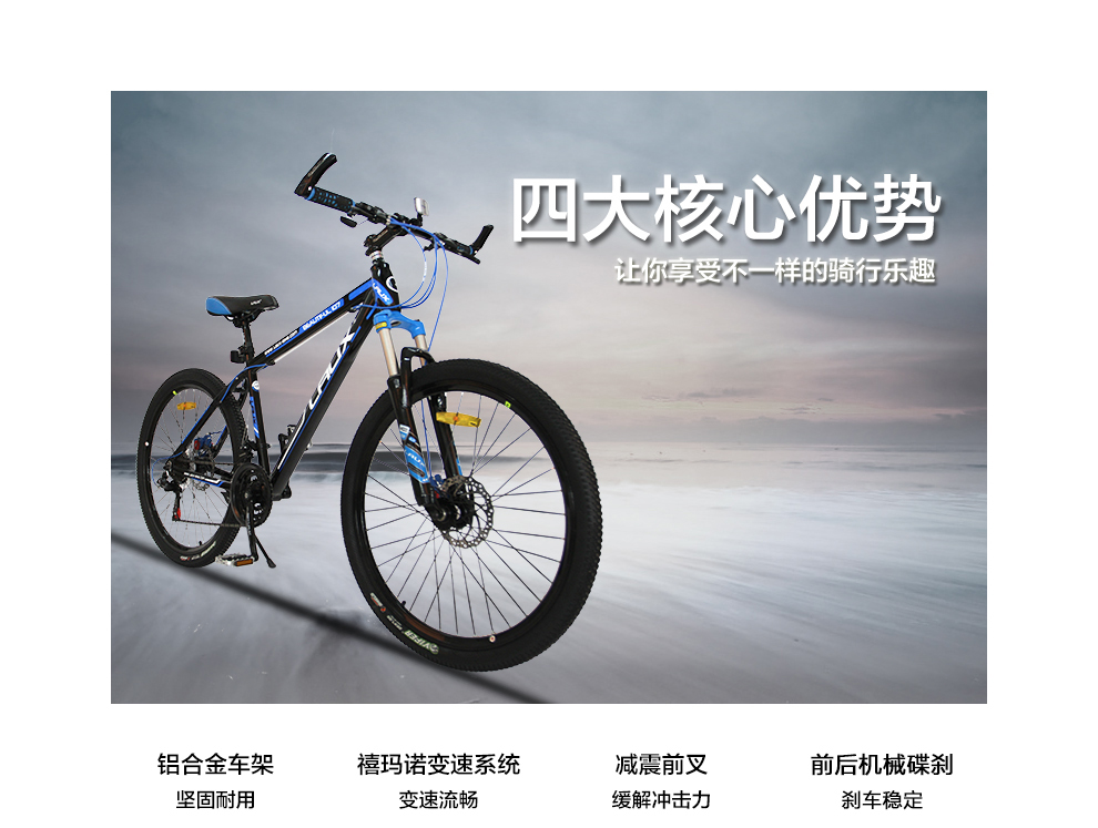 雷克斯自行车加盟 雷克斯自行车加盟