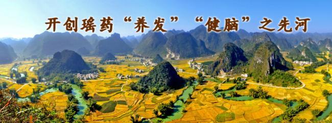 巴马瑶寨加盟 巴马瑶寨加盟