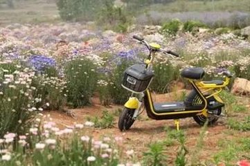 绿源电动车加盟支持 绿源电动车加盟支持