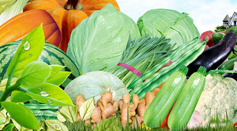 广州乐家生鲜加盟优势