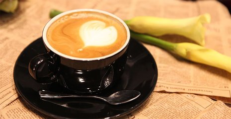 西堤岛加盟条件 西堤岛加盟条件