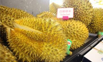 泰纳果园加盟支持 泰纳果园加盟支持