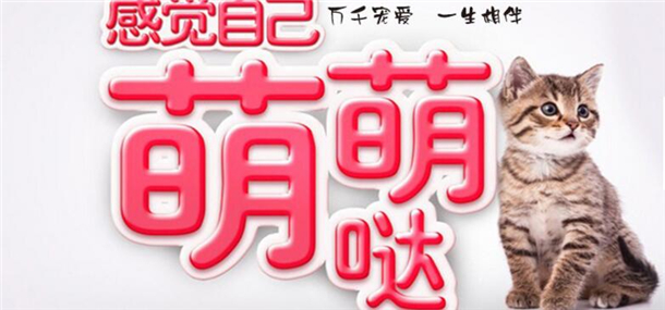 麦乐斯宠物店加盟 麦乐斯宠物店加盟