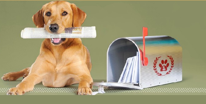 狗迷会加盟支持 狗迷会加盟支持