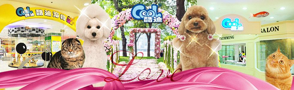 酷迪宠物加盟 酷迪宠物加盟