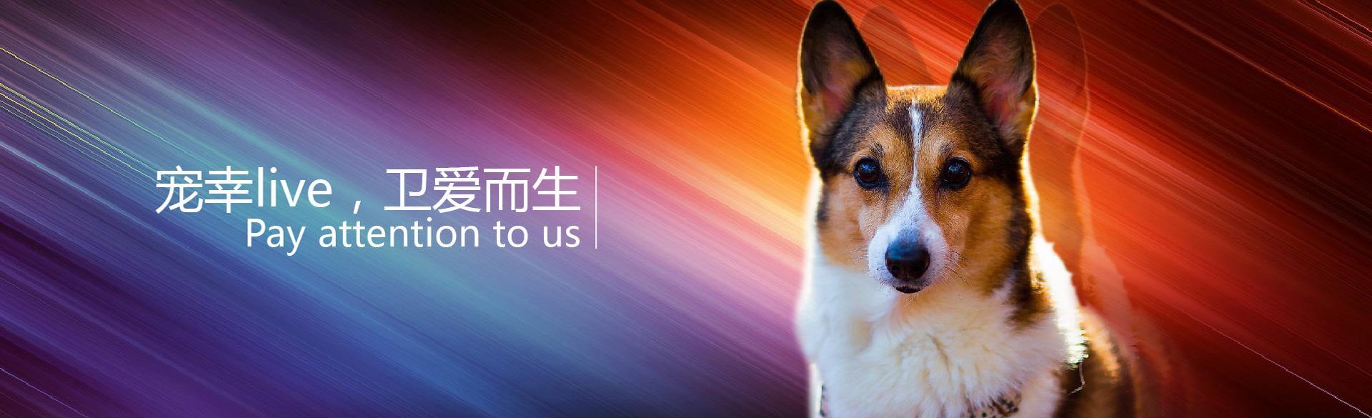 宠幸宠物用品加盟条件 宠幸宠物用品加盟条件