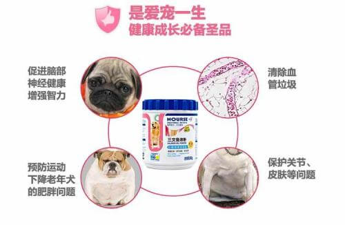 宠幸宠物用品加盟流程 宠幸宠物用品加盟流程