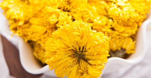 良心谷加盟 良心谷加盟