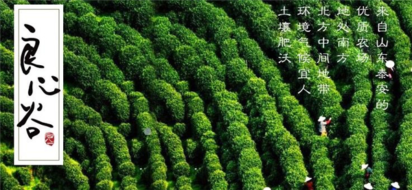 良心谷加盟流程 良心谷加盟流程