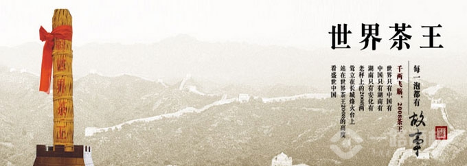 白沙溪安化黑茶加盟优势 白沙溪安化黑茶加盟优势