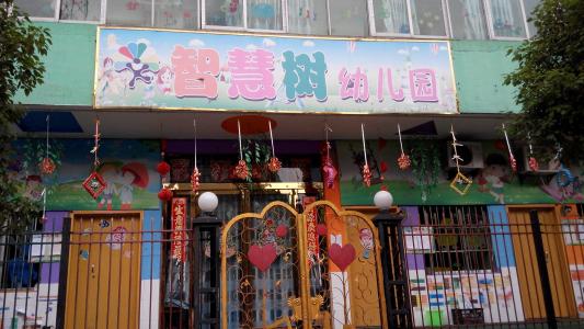 智慧树幼儿园加盟 智慧树幼儿园加盟