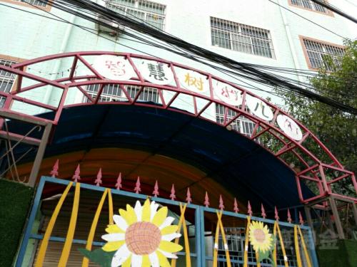 智慧树幼儿园加盟条件 智慧树幼儿园加盟条件