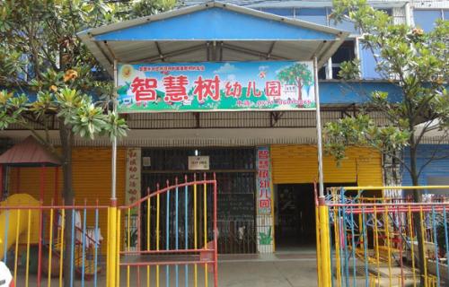 智慧树幼儿园加盟流程 智慧树幼儿园加盟流程