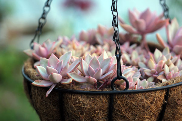 小花坊饰品加盟 小花坊饰品加盟