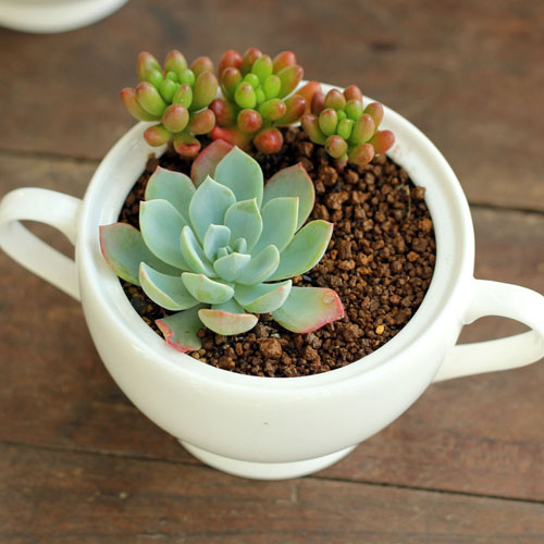 小花坊饰品加盟优势 小花坊饰品加盟优势