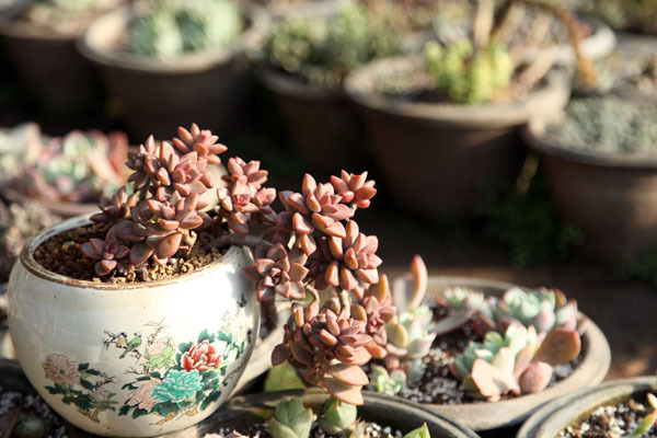 小花坊饰品加盟费用 小花坊饰品加盟费用