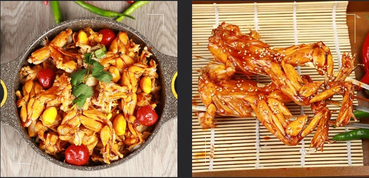 蛙迪卡加盟支持 蛙迪卡加盟支持