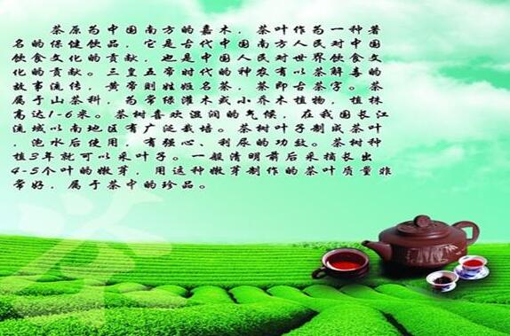 杉叶加盟条件 杉叶加盟条件