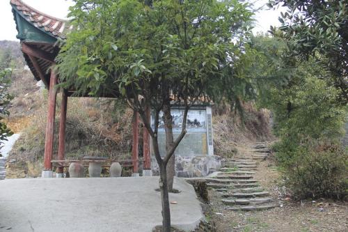 思道茶业加盟支持 思道茶业加盟支持