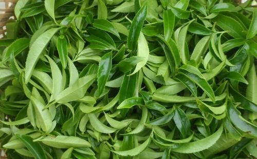 帅印加盟费用 帅印加盟费用