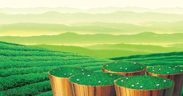 双园茶业加盟条件 双园茶业加盟条件