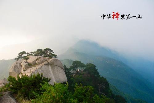司空山禅茶加盟优势 司空山禅茶加盟优势