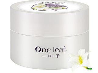 一叶子面膜代理加盟流程 一叶子面膜代理加盟流程