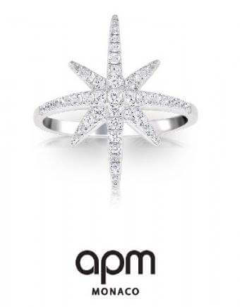 APM Monaco加盟 APM Monaco加盟