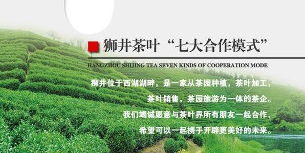 狮井加盟条件 狮井加盟条件