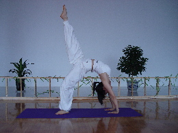 印象瑜伽加盟优势 印象瑜伽加盟优势