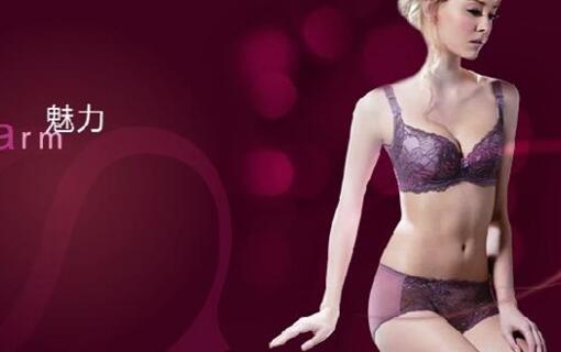 莎娜美内衣加盟费用 莎娜美内衣加盟费用