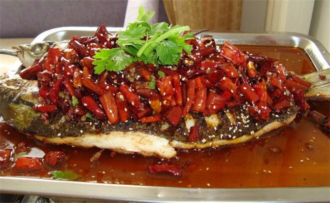 鱼特工加盟条件 鱼特工加盟条件