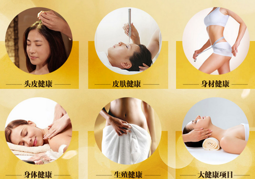 芮娜皇宫加盟 芮娜皇宫加盟