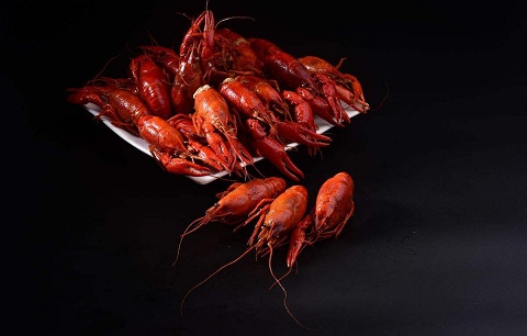 醉鹅龙虾加盟优势